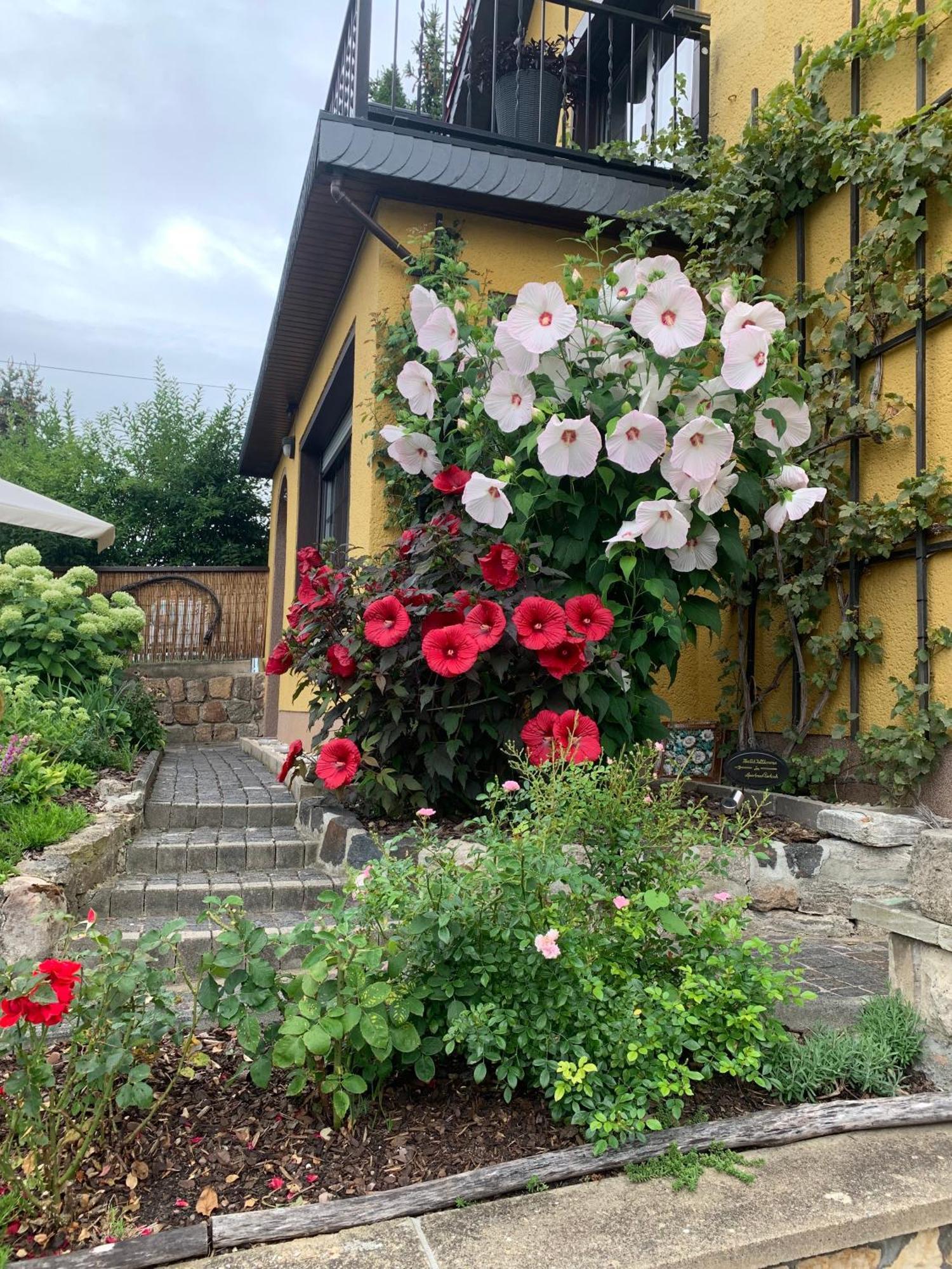 Partzsch Apartment Wethau Luaran gambar